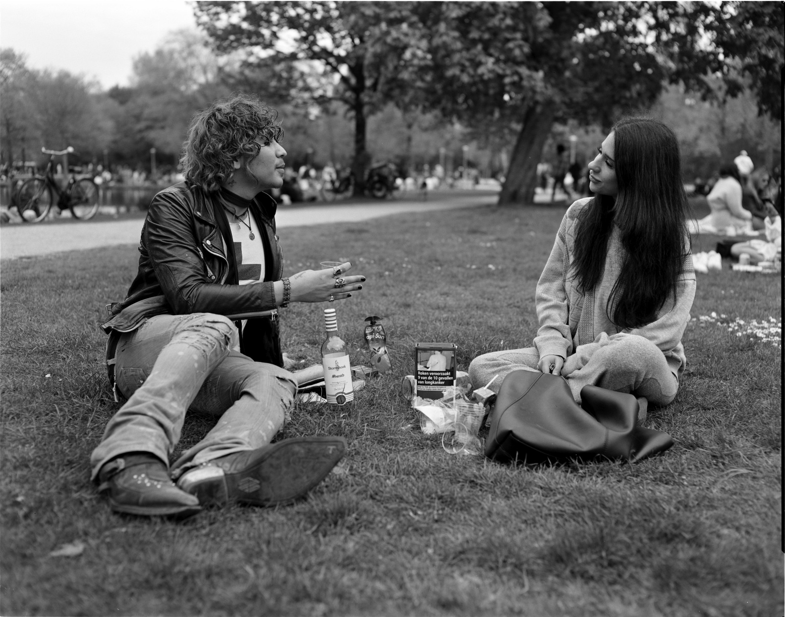 Friends in the Vondelpark