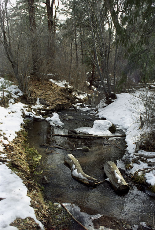 Frijoles Creek