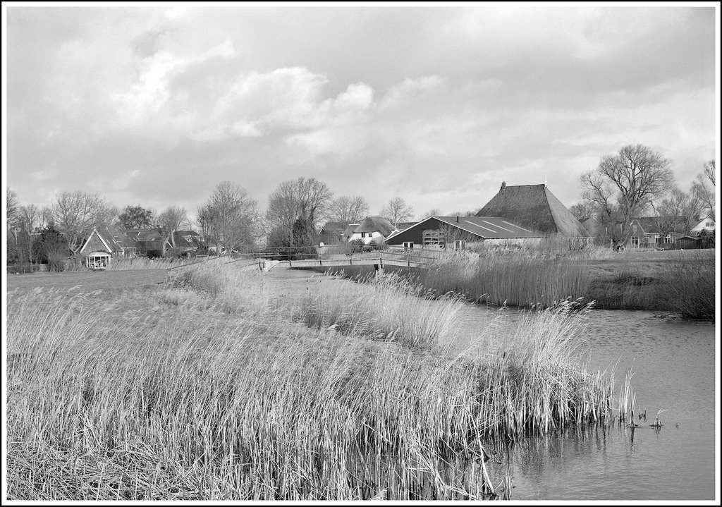 Frisian landscape