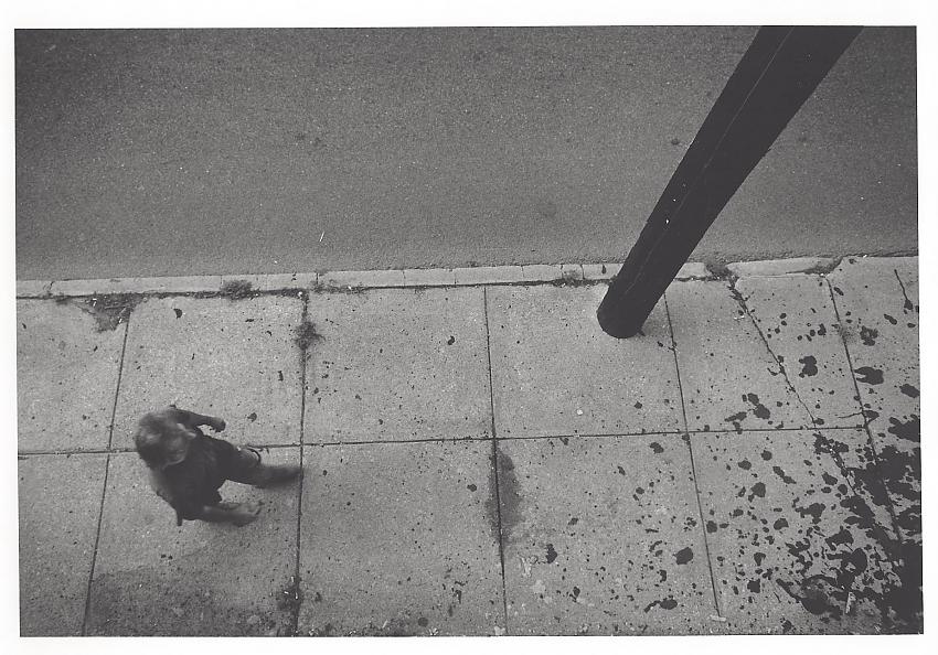 From a window at the mission