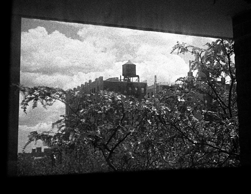 From our window