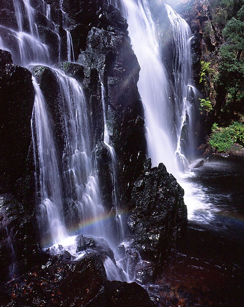 From the Grampians trip, Jan. '06