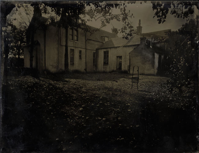 From The Orchard