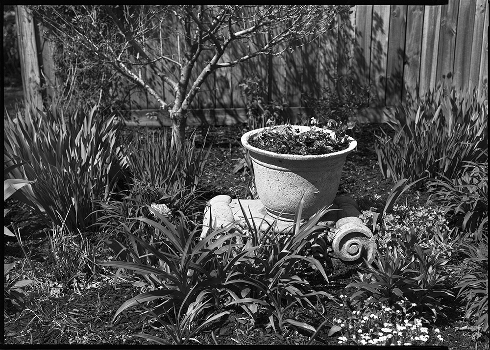 Front Garden