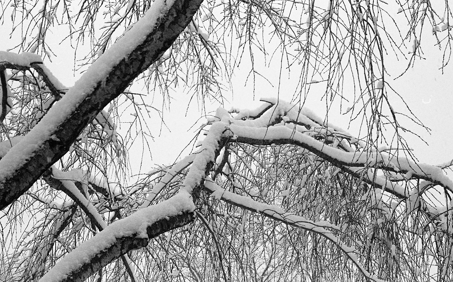 Front porch snow