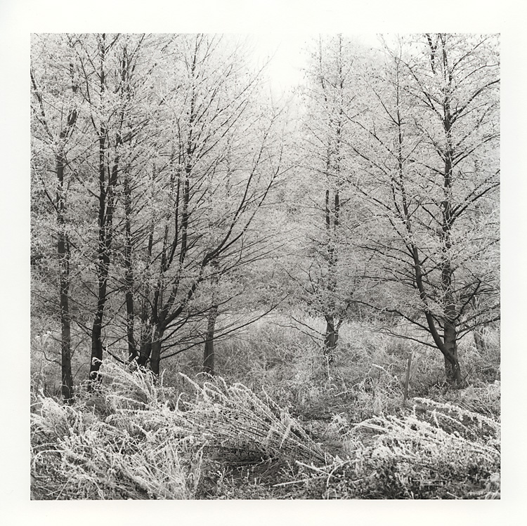 Frost revisited...