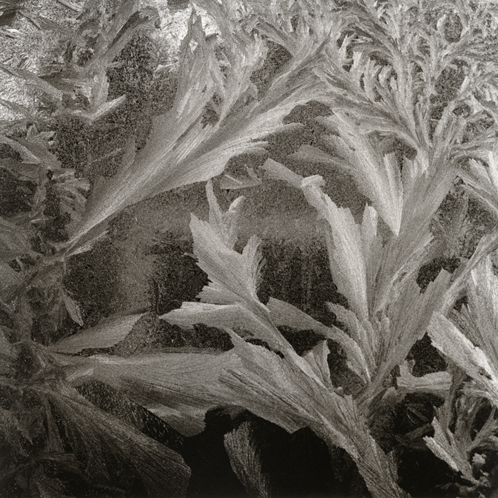 Frost Variations