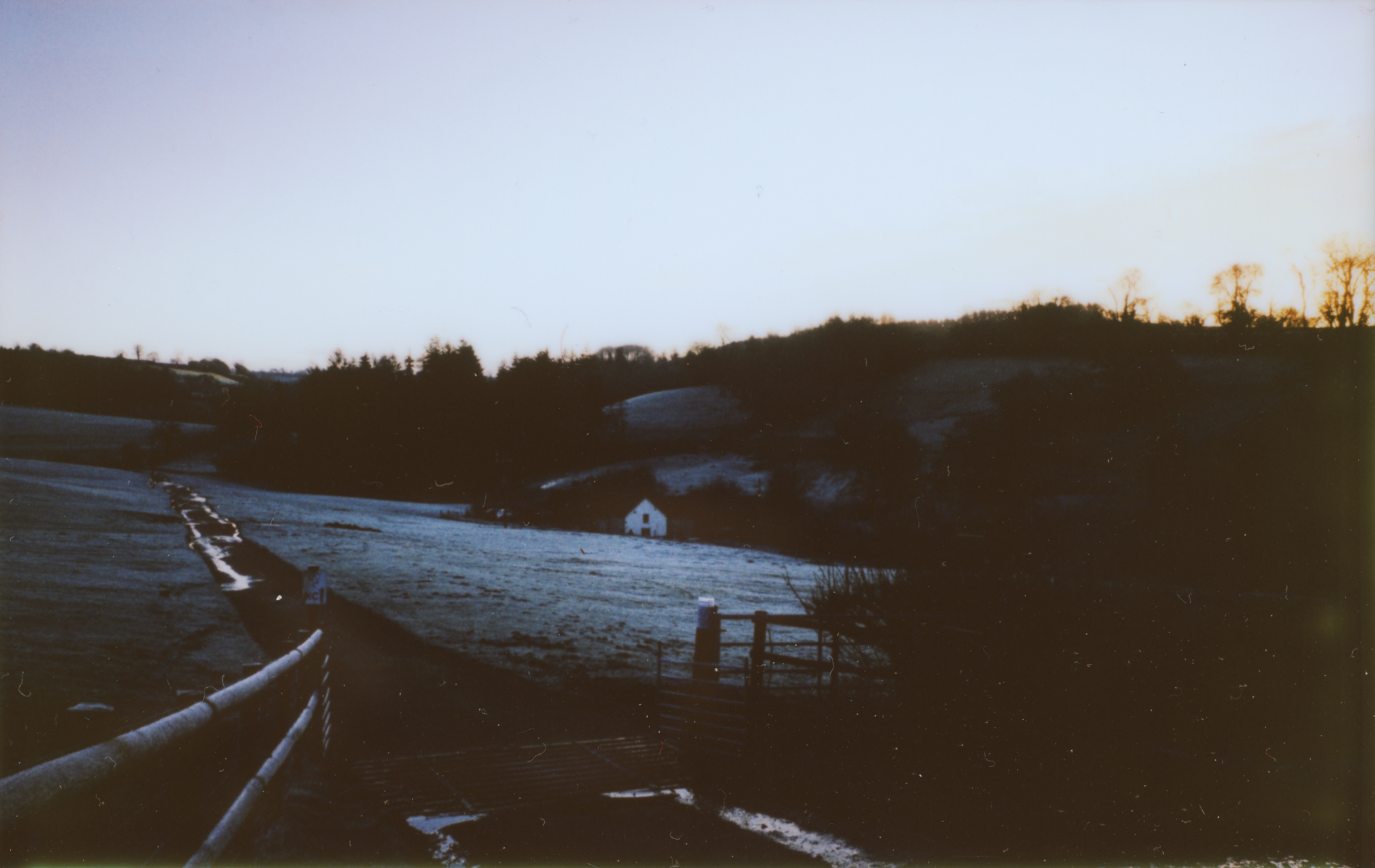 Frosty Hollow