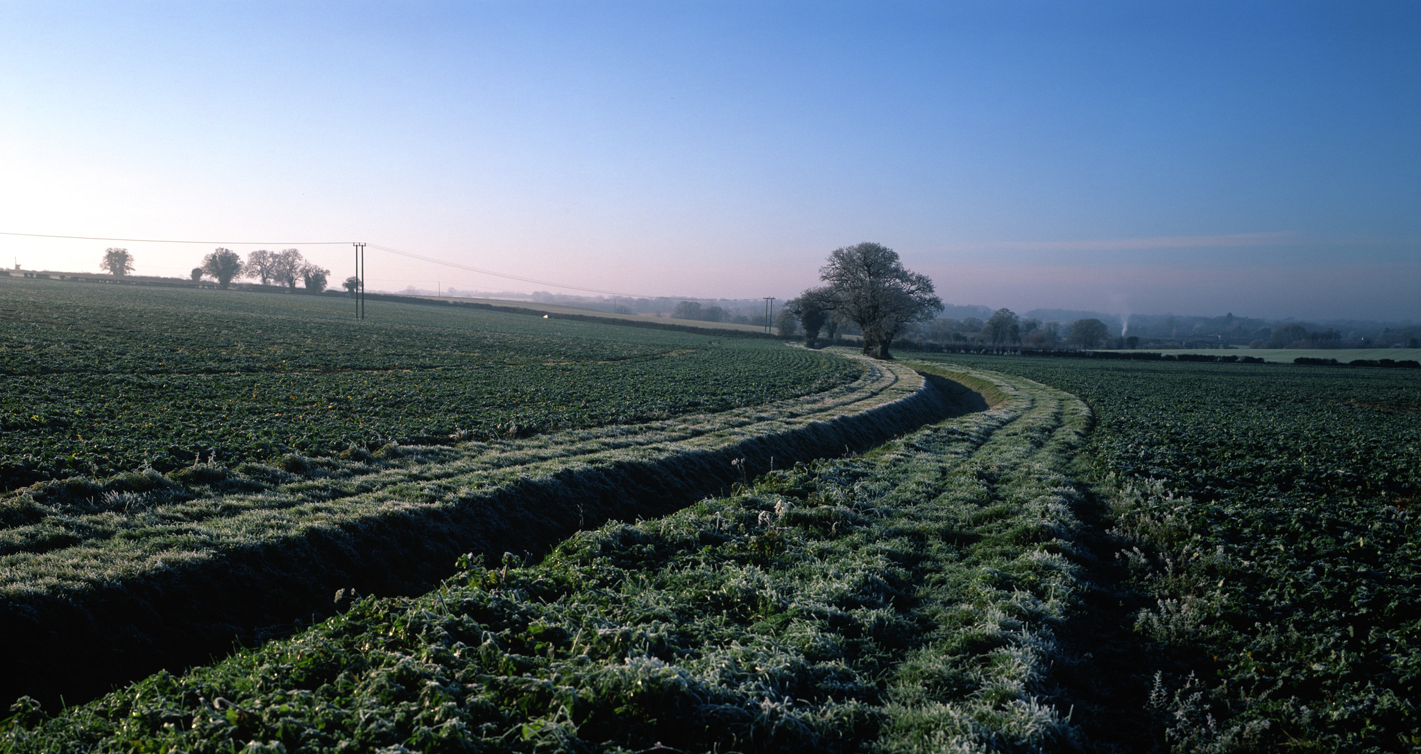 Frosty morning