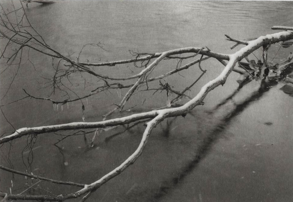 Frozen Branch Chagrin River