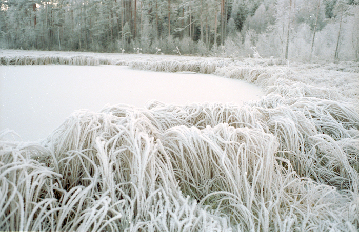 Frozen lake
