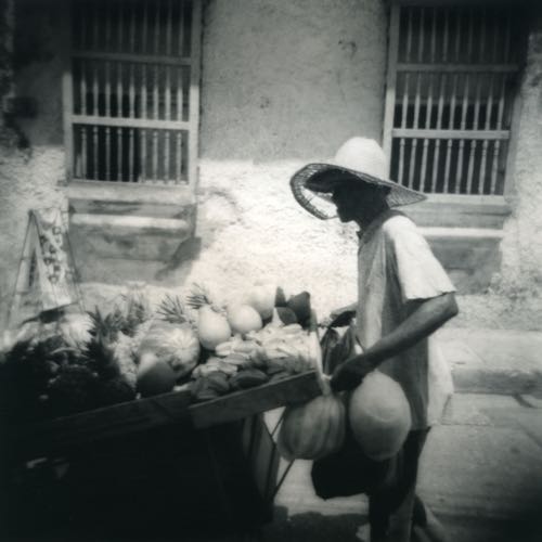 FruitPeddler