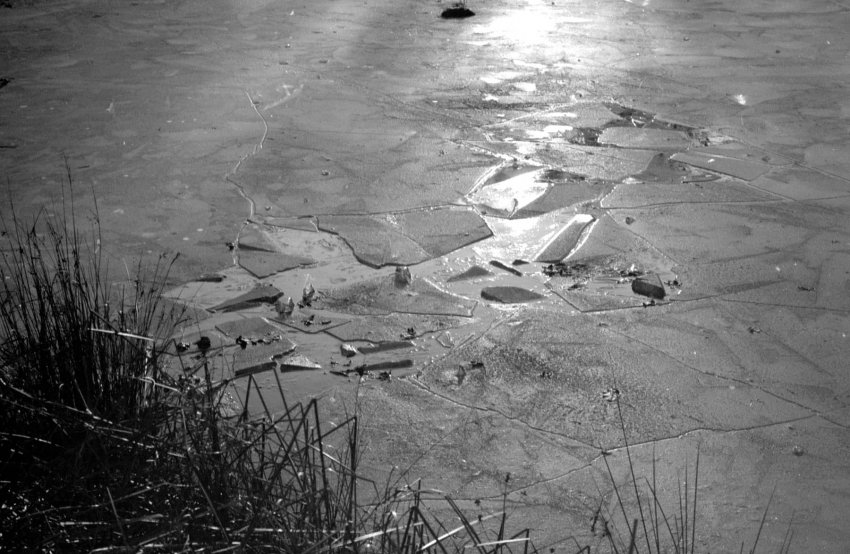FTbn : Ice on pond