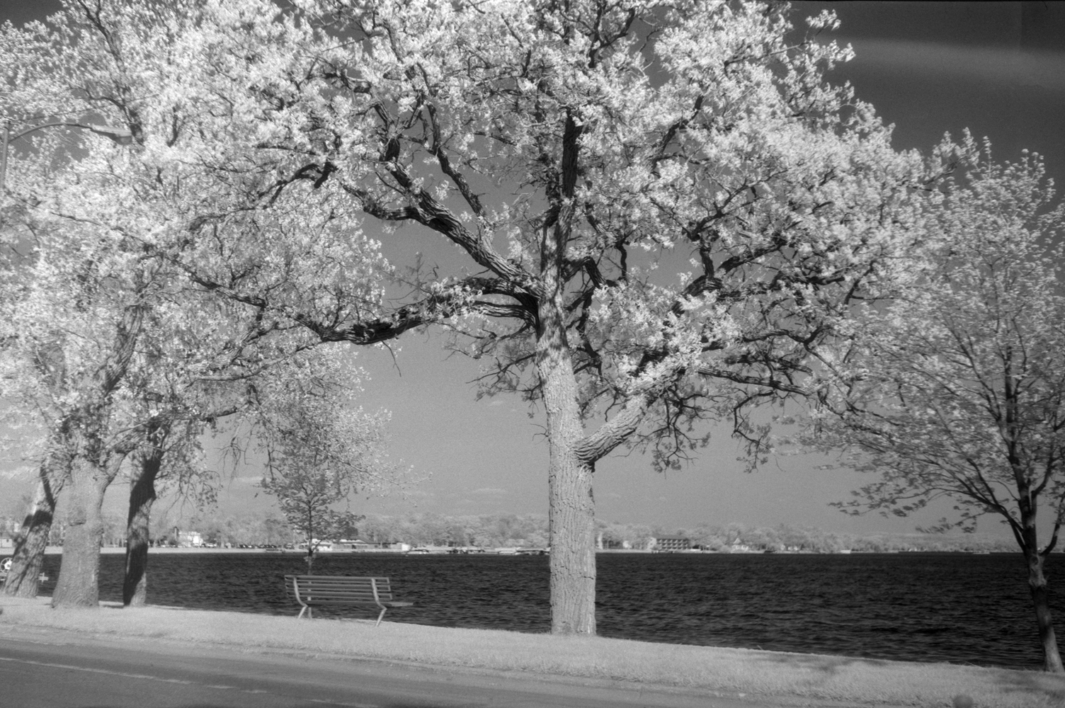 Fun with SFX - Detroit lake