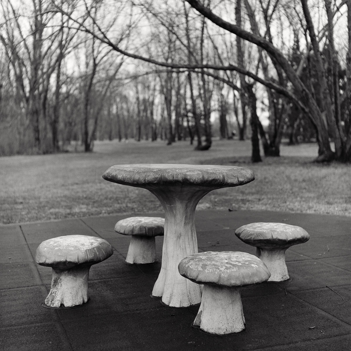 Fungiform Table and Toadstools