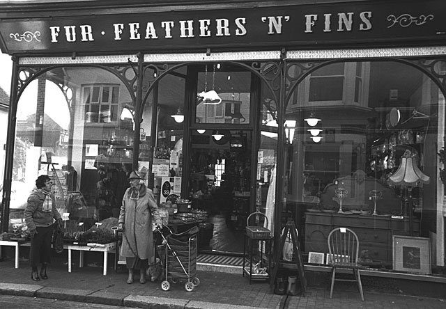 Fur, Feathers, And Fins.