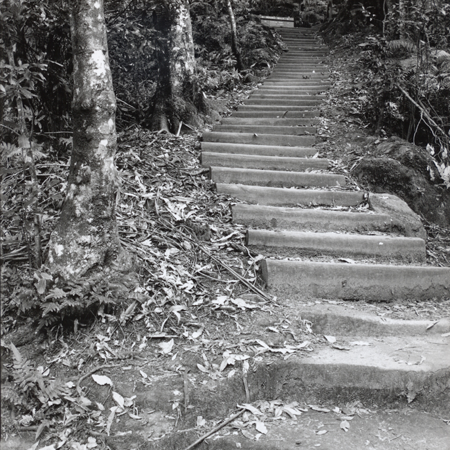 Furber Steps