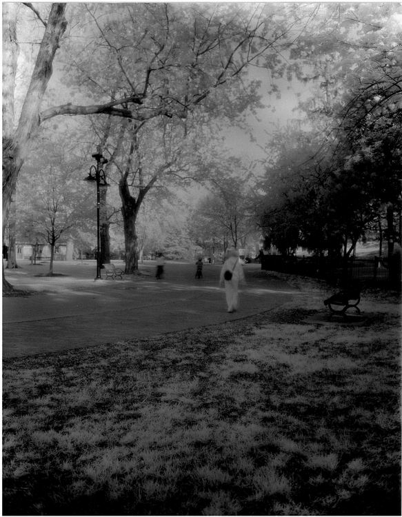 gage park IR