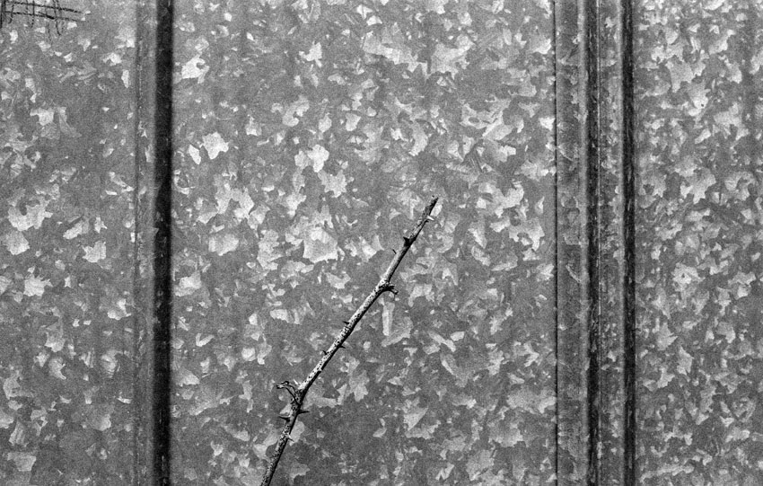 galvanizing ...