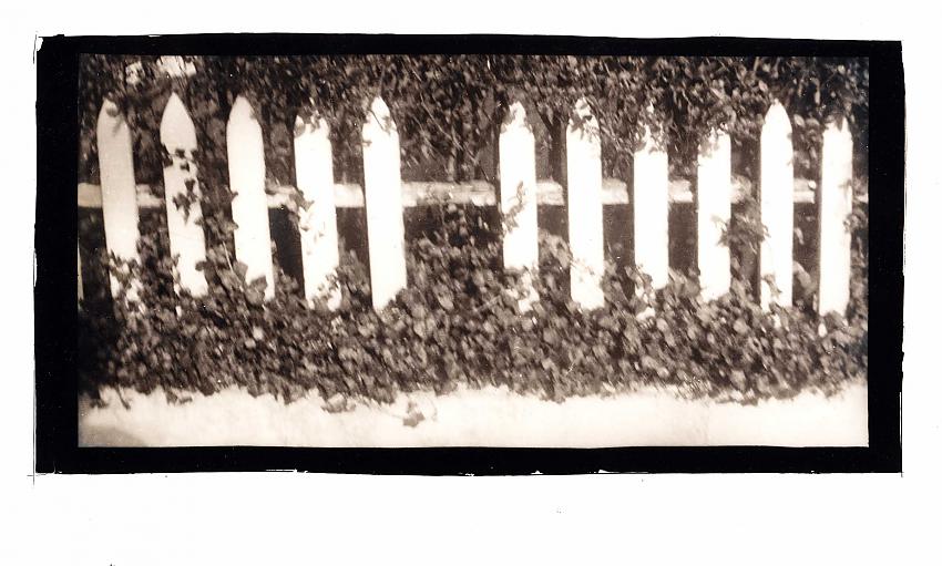 (Gap-toothed) Fence