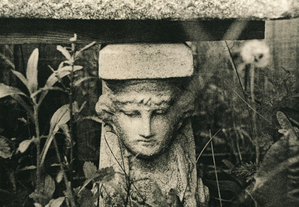 Garden Bench