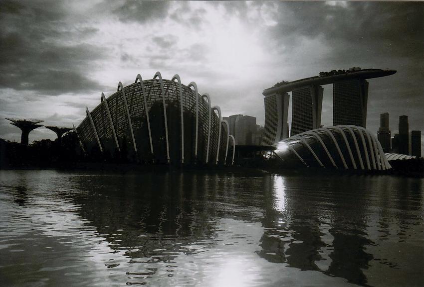 Garden By The Bay