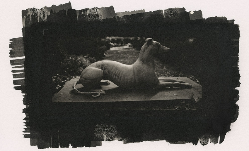 Garden Dog, Tudor Place