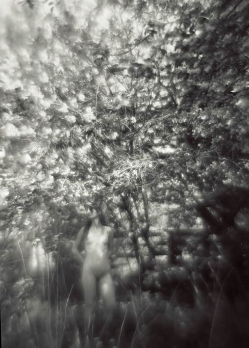 Garden of Eden - looking for an apple.....
