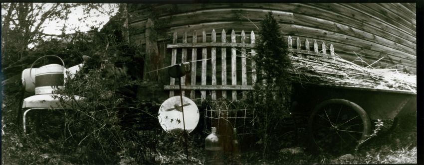 Garden Panaromic Pinhole 2