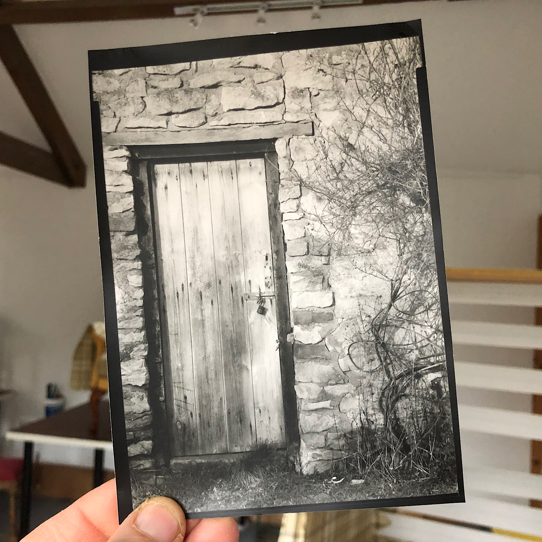 Garden Shed Door