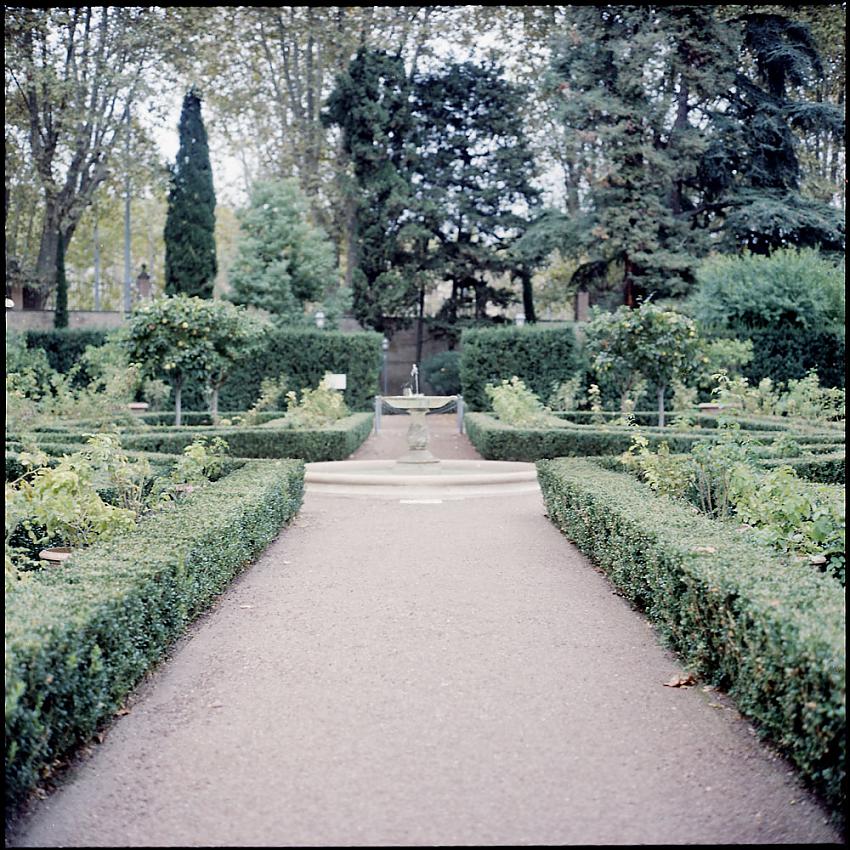 Garden, Villa Farnesina, Trastevere
