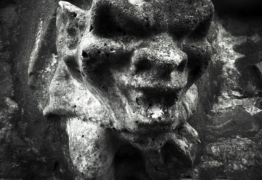 Garden Wall Gargoyle