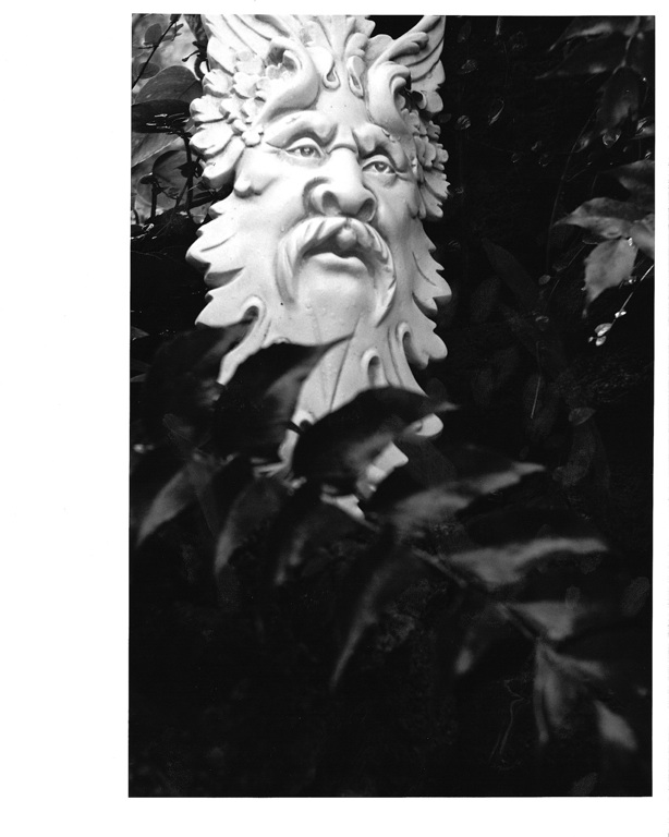 Garden's spirit
