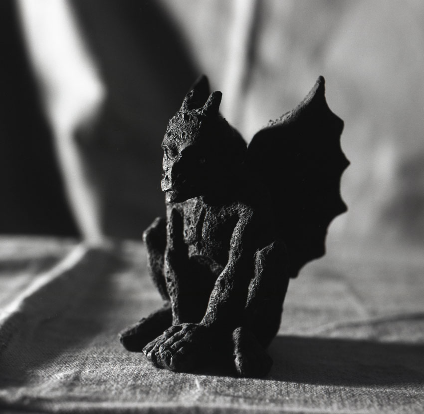 Gargoyle Exposure 12