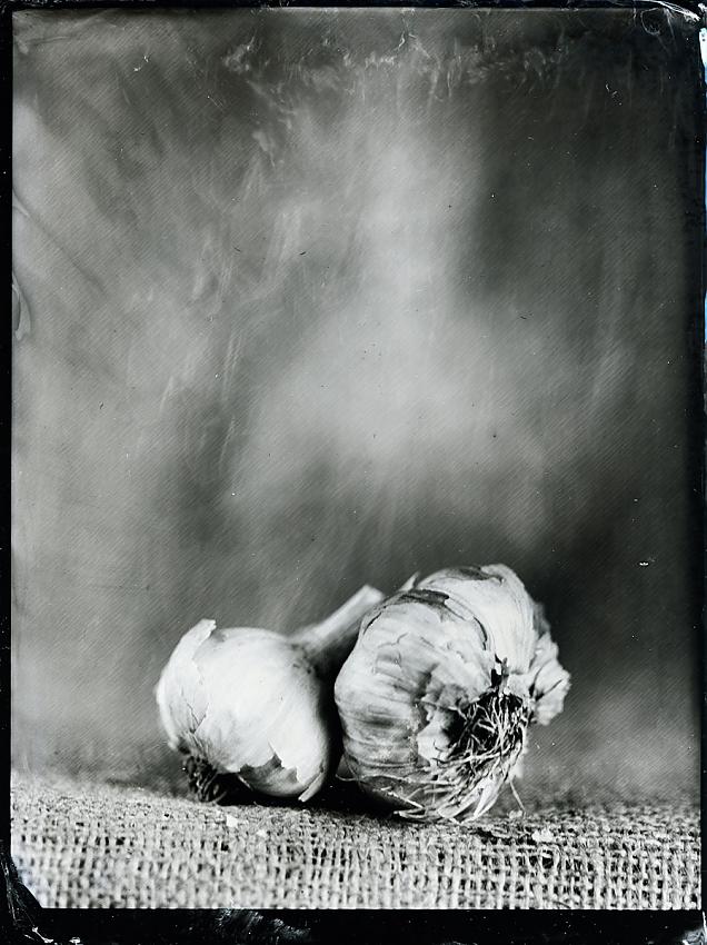 Garlic
