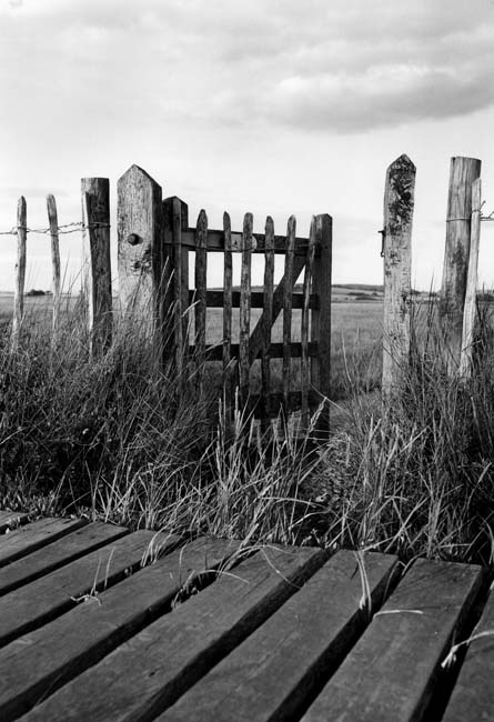 Gate at Newtown