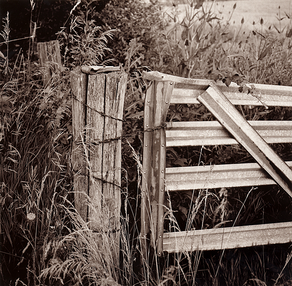 Gate, Bull Valley Road