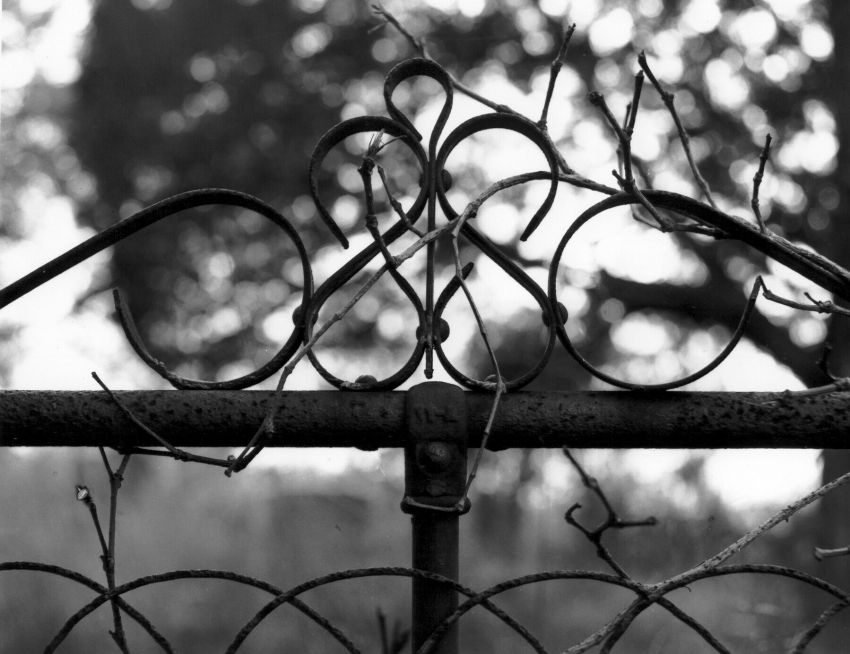 gate