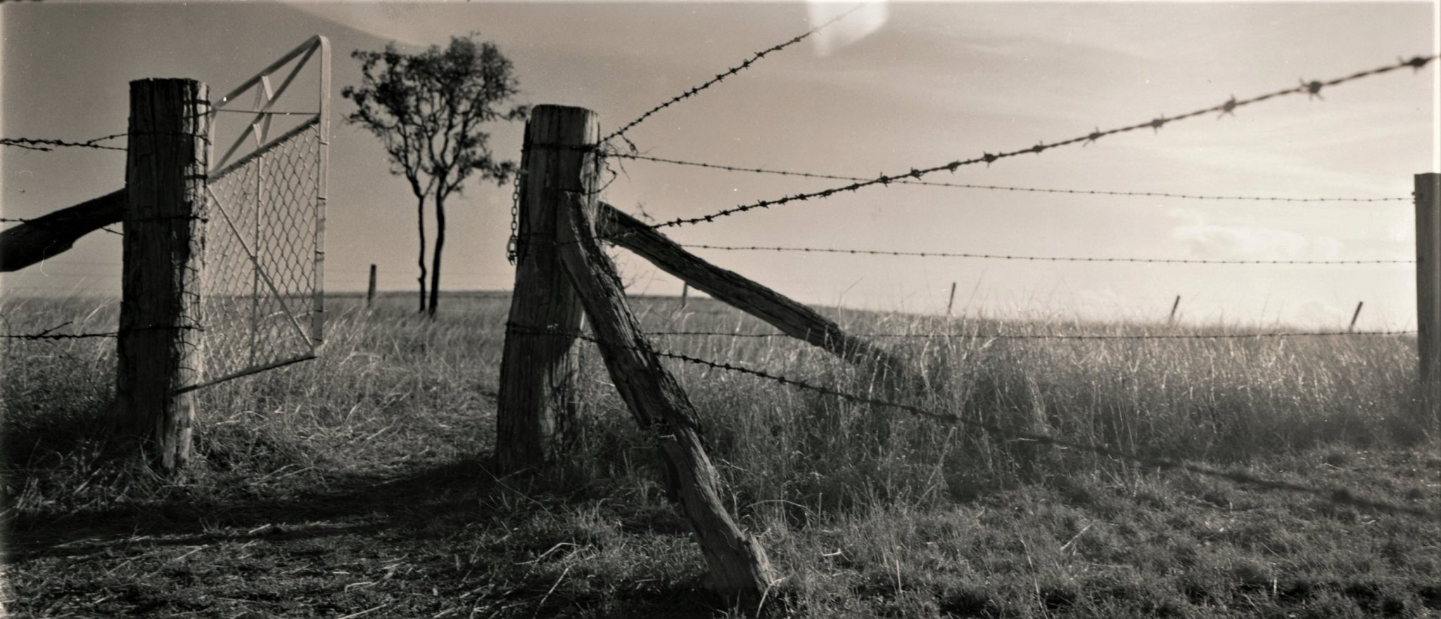 Gate