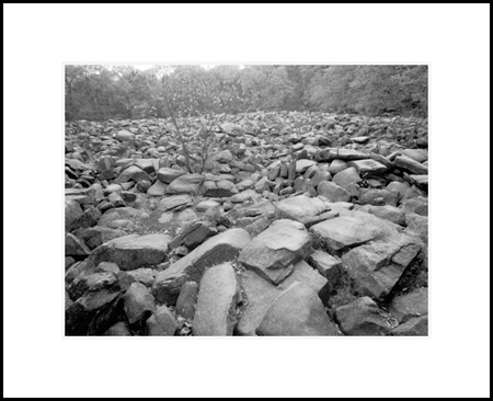 Gathering Rocks Original