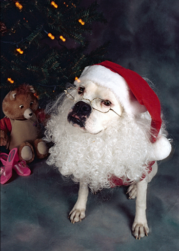 Ghost of Christmas Past