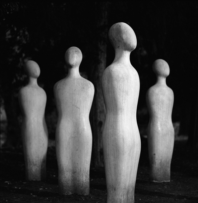 Ghosts in the Machine