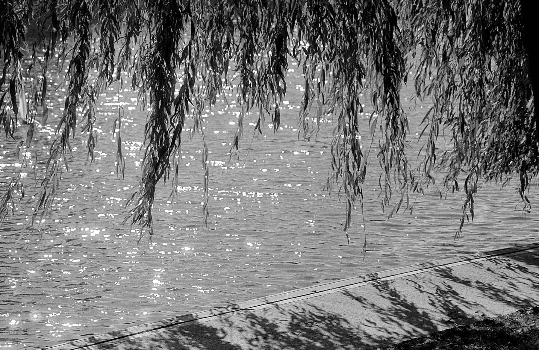 'Gift' ORWO Tests 01