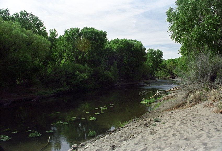 Gila River Nature Conservancy expedition, May 2014