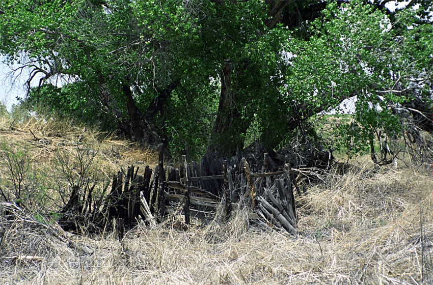 Gila River Nature Conservancy expedition, May 2014