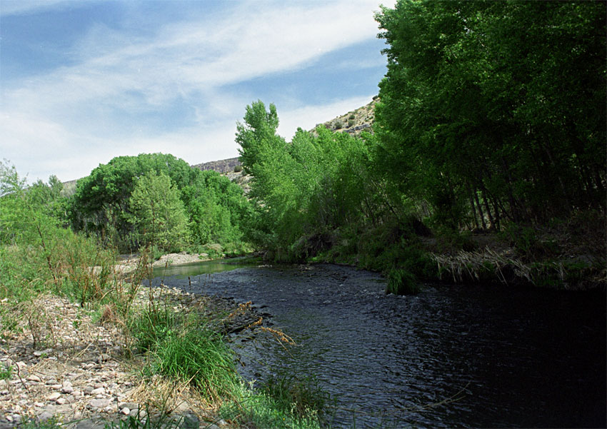 Gila River Nature Conservancy expedition, May 2014