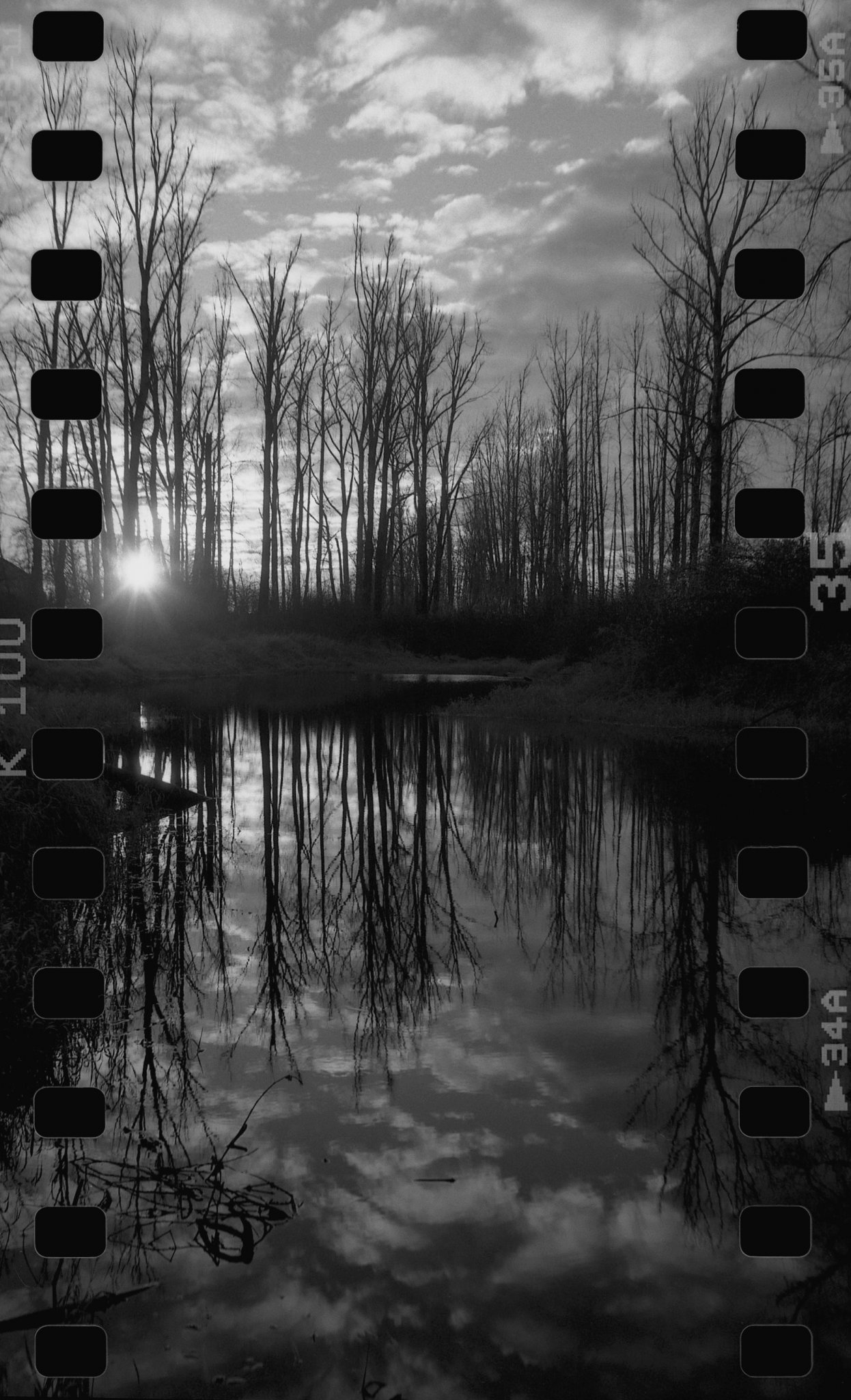 Gladwin Pond
