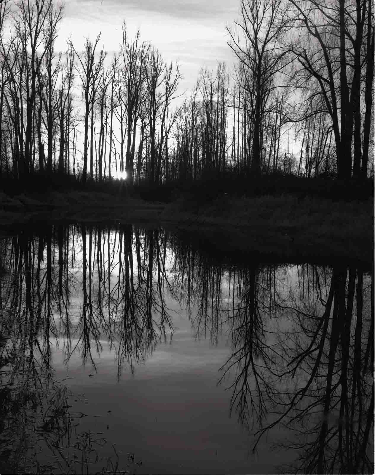 GladwinPond-Toyo-Acros--