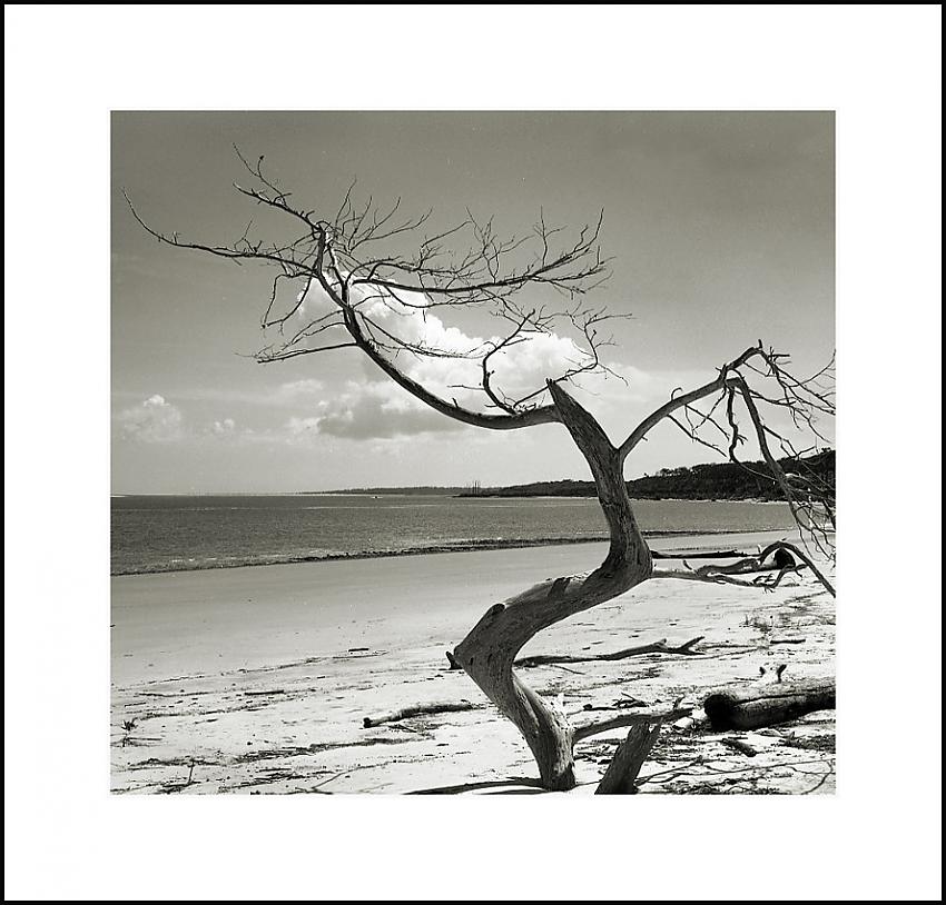 Goblin of the Beach  Happy Halloween ;-)