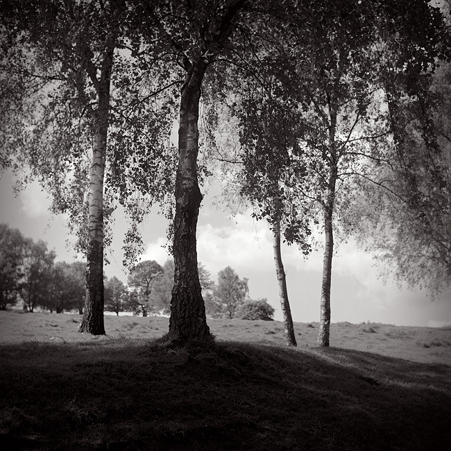 Godmersham-Hill